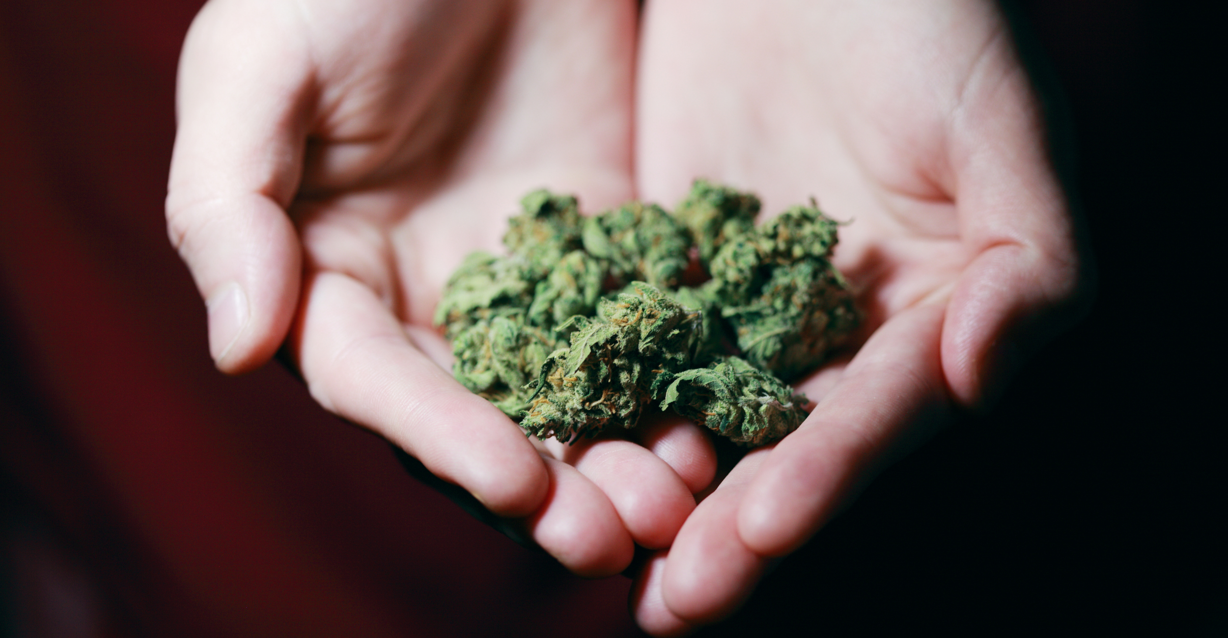Wisconsin Marijuana Legalization - The Potential Impacts on Criminal Laws